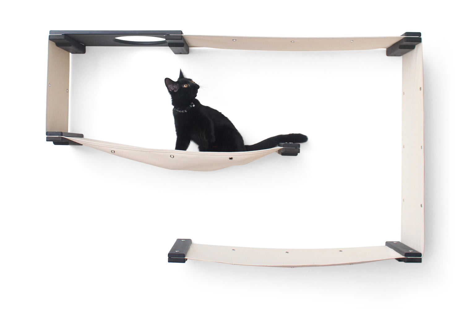 CP Company Pro-Tek Padded Lens Jacket in Black